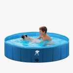 piscine à balles chien